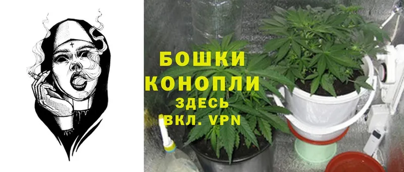 kraken вход  цены   Анадырь  Бошки Шишки SATIVA & INDICA 